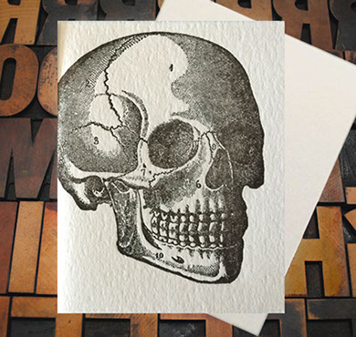 Letterpress Card with an anatomical skull drawing