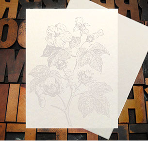 Letterpress Card with an image of a Torch, arrow, and vines