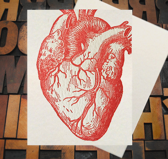 Letterpress Card with an image of a red anatomical heart