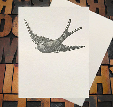 Letterpress Card with an image of a grey barn swallow