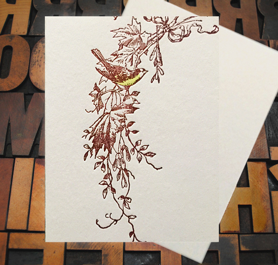 Letterpress Card with an image of a bird sitting on a vine