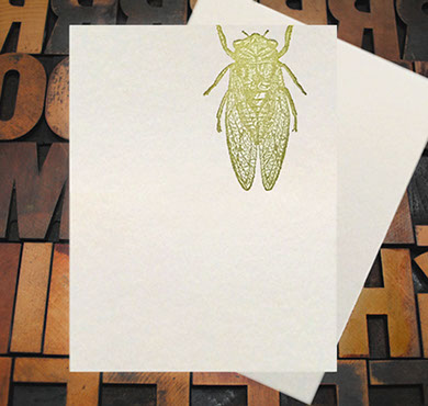 Letterpress Card with an image of a cicada