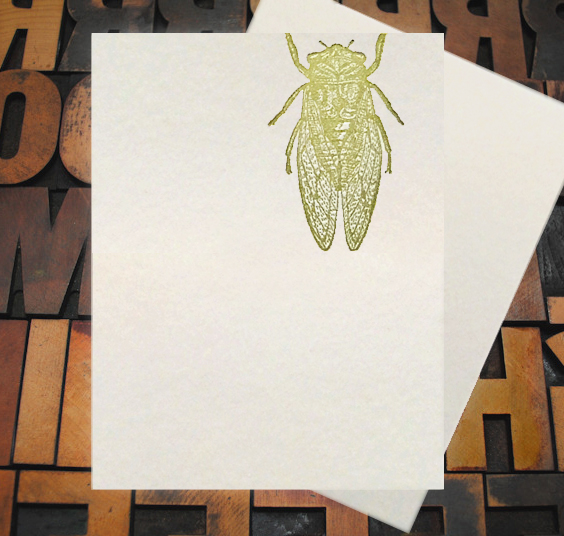 Letterpress Card with an image of a cicada