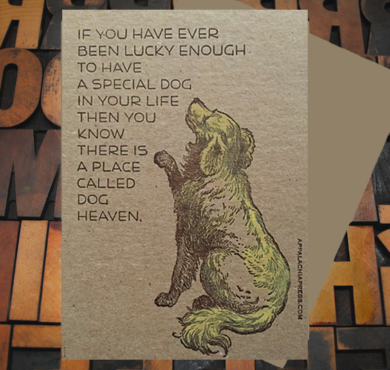 "If you have ever been lucky enough to have a special dog in your life, then you know there is a place called dog heaven." 