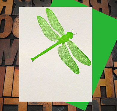 Letterpress Card with an image of a green dragonfly