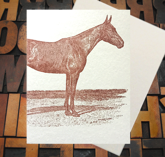 Letterpress Card with an image of the front of a horse
