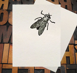 Letterpress Card with an image of a black house fly