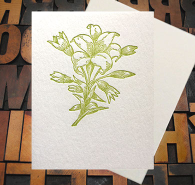 Letterpress Card with an image of a lily