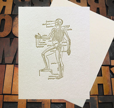Letterpress Card with an anatomical drawing of a skeleton with hand outstretched and corresponding labels 