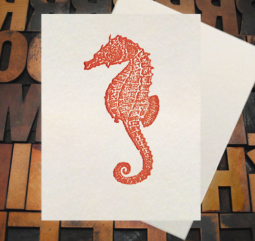 Letterpress Card with an image of a red seahorse