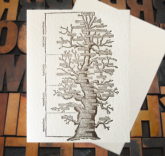 Letterpress Card with an image of the tree of life with labels