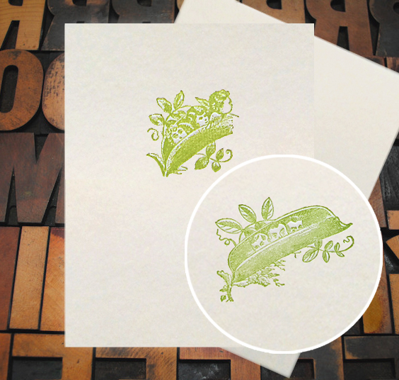 Letterpress Card with an image of a kids popping out of a pea pod