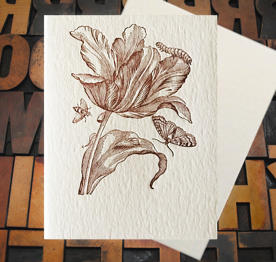 Letterpress Card with an image of a tulip with various insects